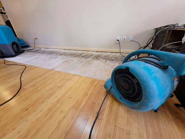 Professional Water Damage Repair technician working in Long Creek, IL